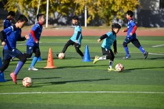 将响应削减家庭收入200亿