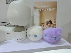动式AI陪同机械人
